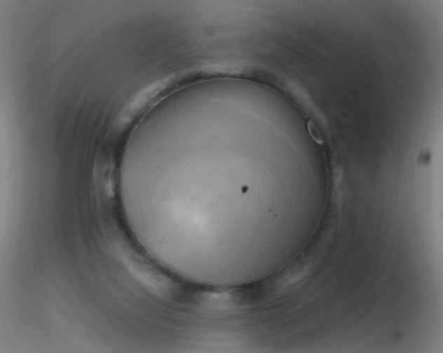 X0000116830068200912181444