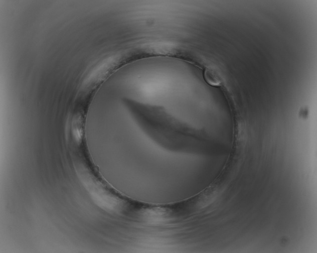 X0000116830069200912181444