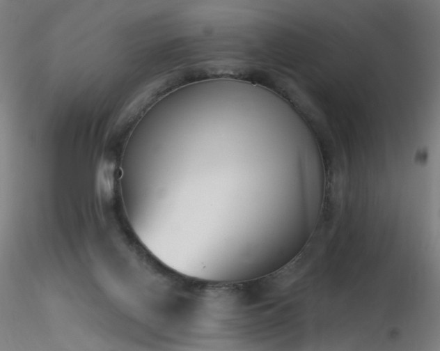 X0000116830070200912181444