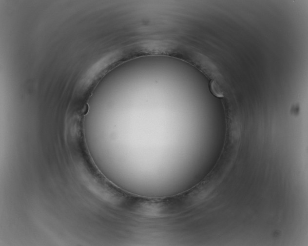 X0000116830071200912181444