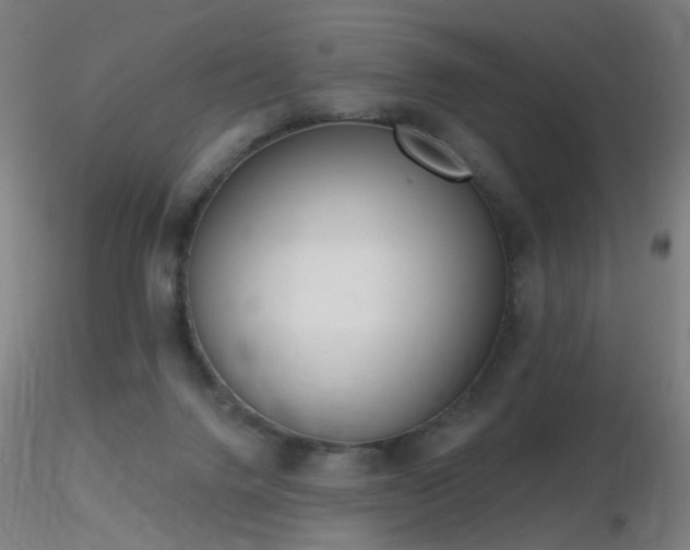 X0000116830072200912181444