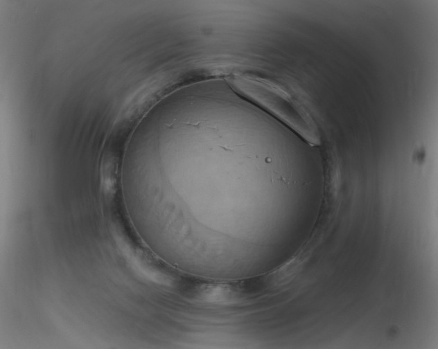X0000116830074200912181444