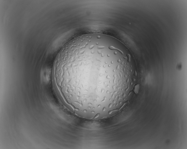 X0000116830075200912181444