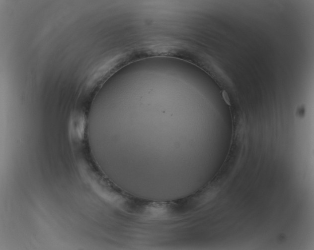 X0000116830076200912181444