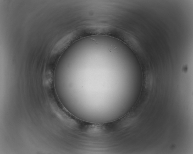 X0000116830077200912181444