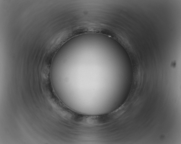 X0000116830078200912181444