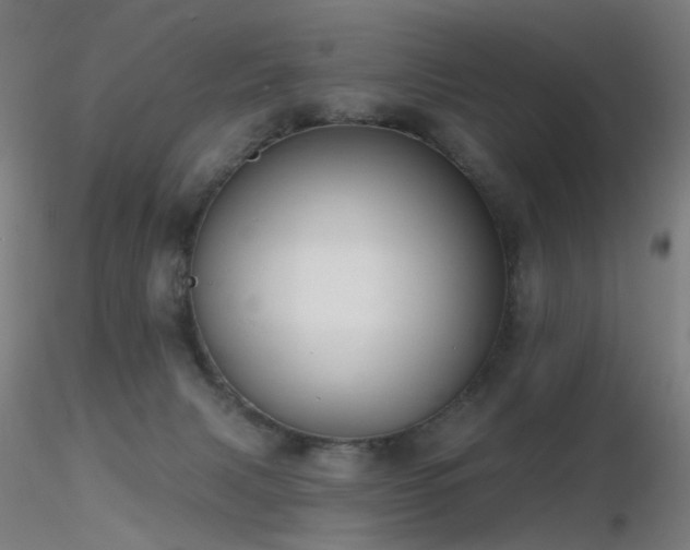X0000116830079200912181444
