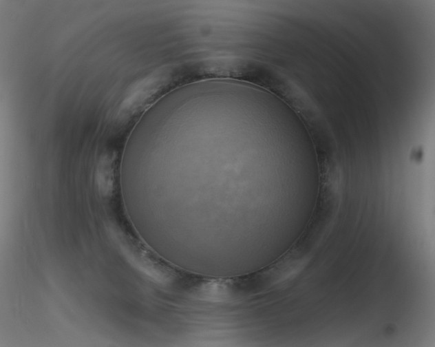 X0000116830080200912181444