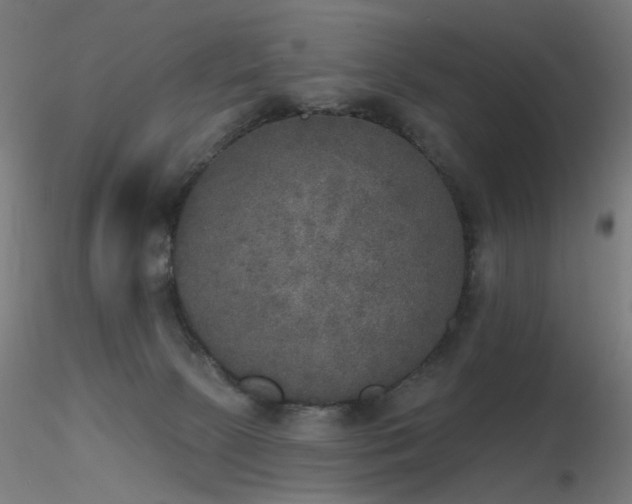 X0000116830081200912181444