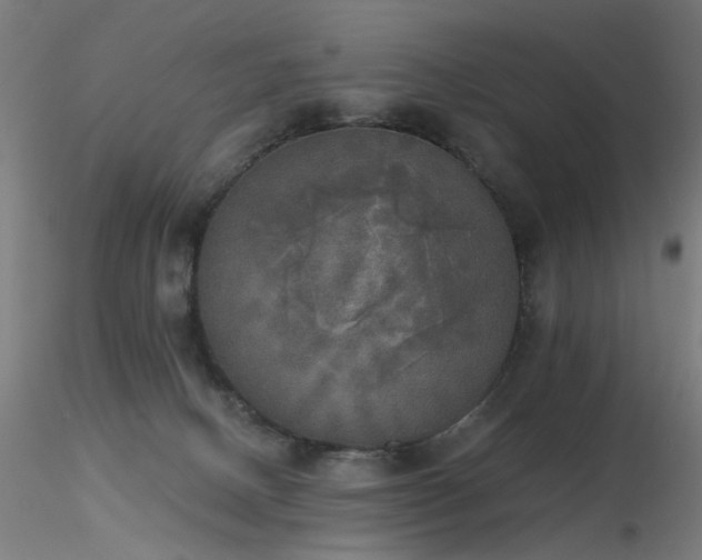 X0000116830082200912181444