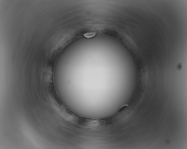 X0000116830083200912181444