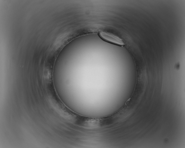 X0000116830084200912181444