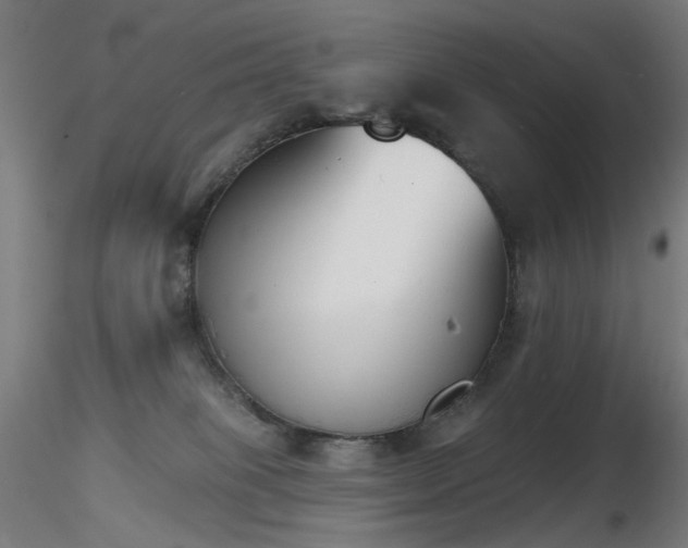 X0000116830085200912181444