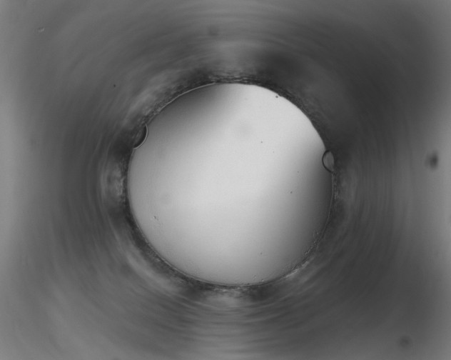 X0000116830086200912181444