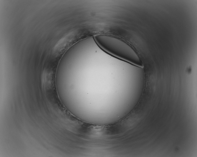 X0000116830088200912181444
