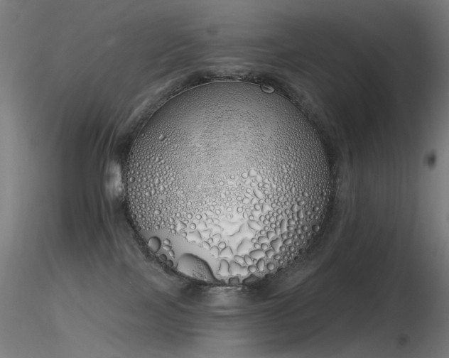 X0000116830089200912181444