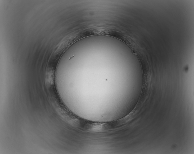 X0000116830090200912181444