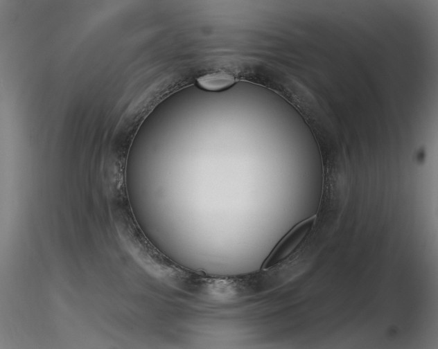X0000116830091200912181444