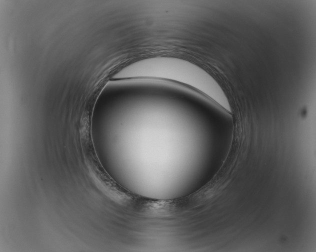 X0000116830092200912181444