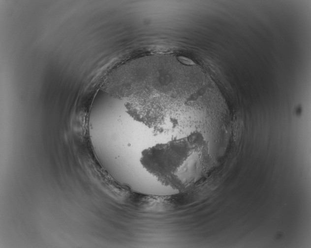 X0000116830093200912181444