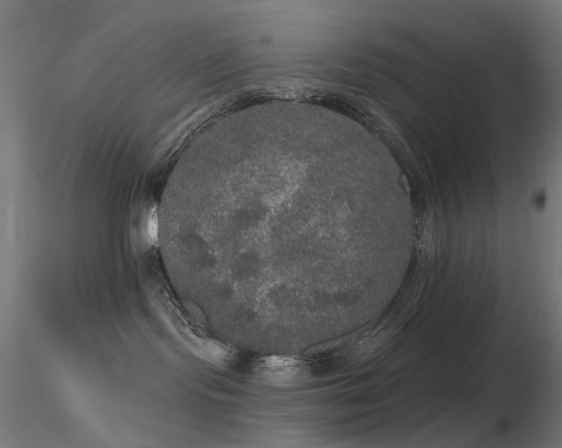 X0000116830095200912181444