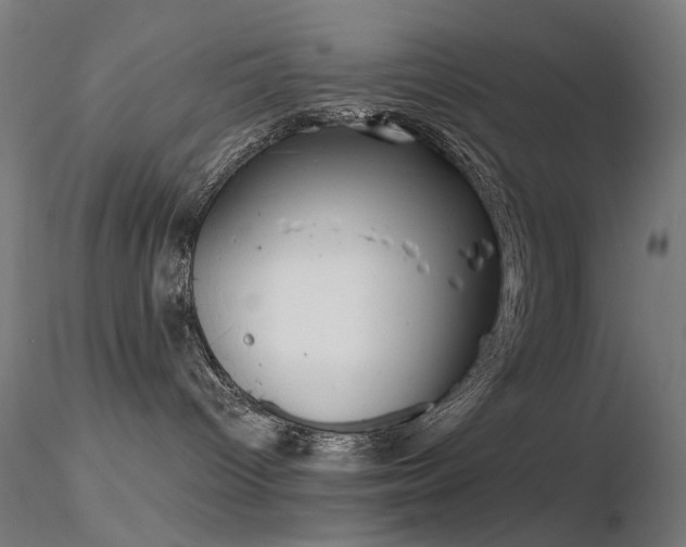 X0000116830096200912181444