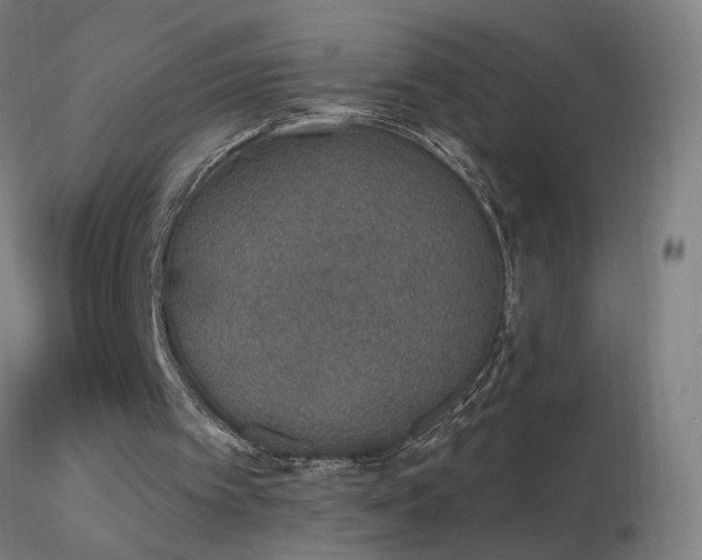 X0000116830097200912181443