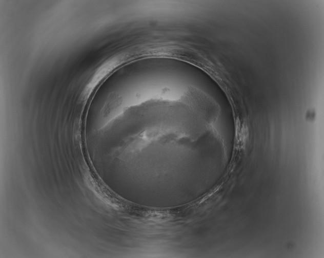 X0000116830099200912181443