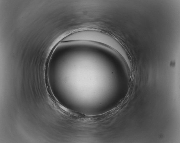 X0000116830100200912181443