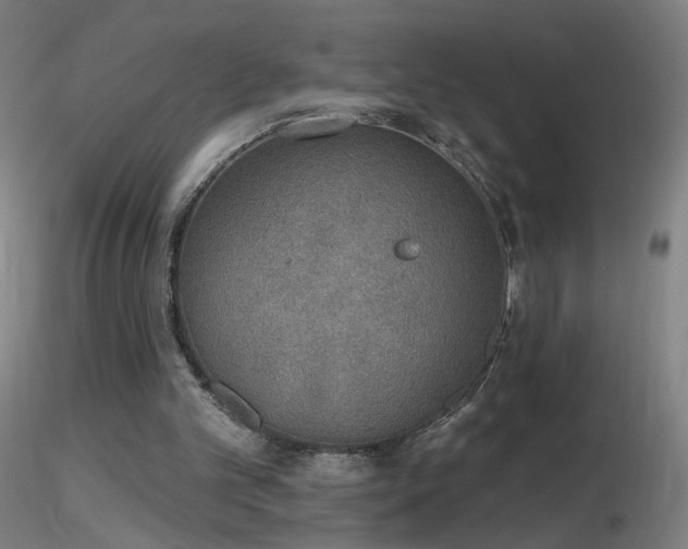 X0000116830101200912181443