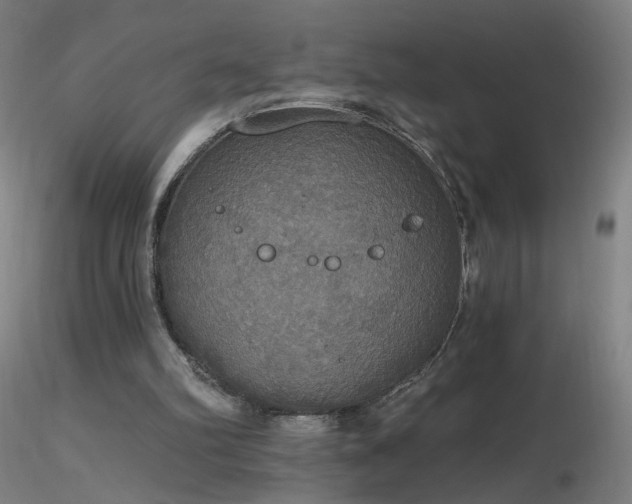 X0000116830102200912181443