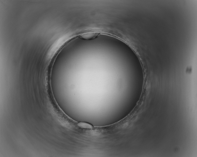 X0000116830103200912181443