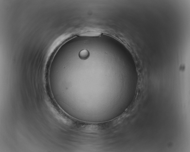 X0000116830104200912181443