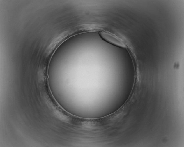 X0000116830105200912181443