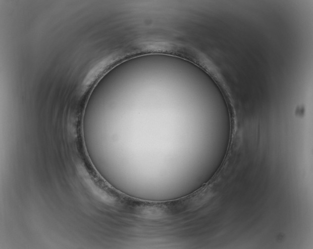 X0000116830106200912181443
