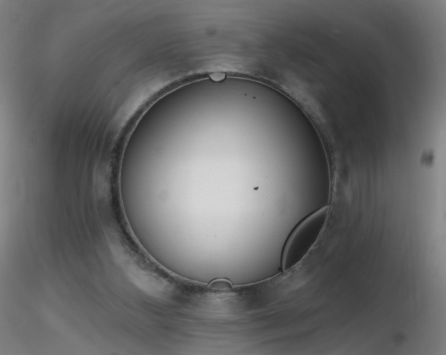 X0000116830108200912181443