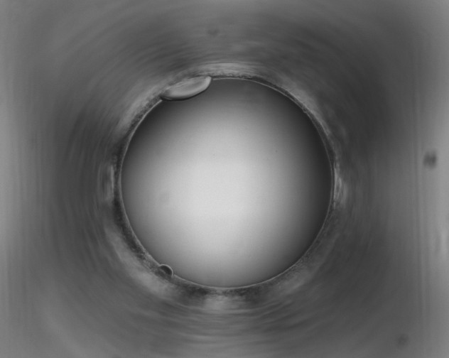X0000116830109200912181443