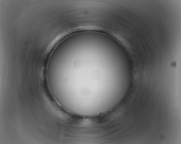 X0000116830111200912181443