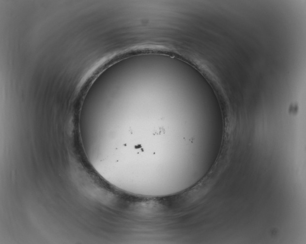 X0000116830112200912181443