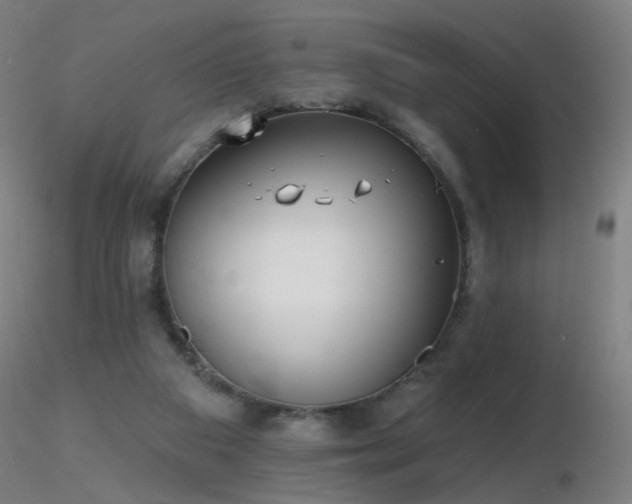 X0000116830113200912181443