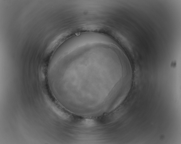 X0000116830114200912181443