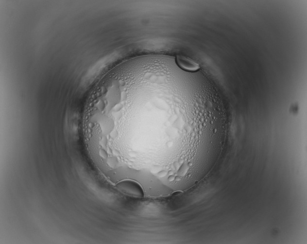 X0000116830115200912181443