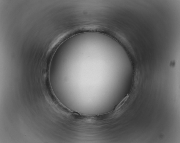 X0000116830116200912181443