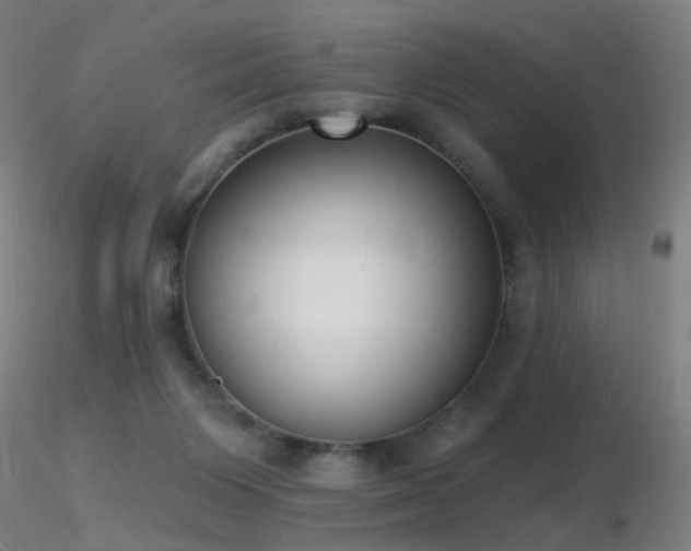 X0000116830119200912181443