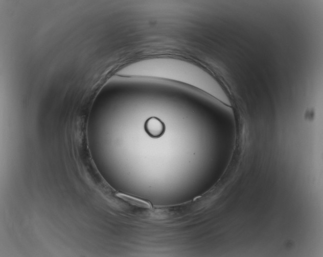 X0000116830121200912181443