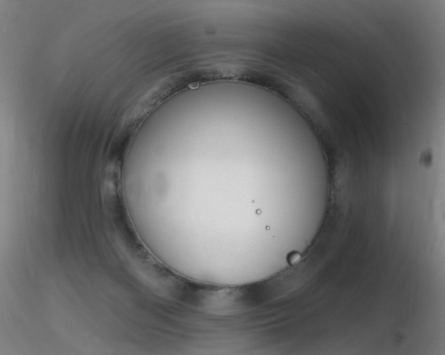 X0000116830122200912181443