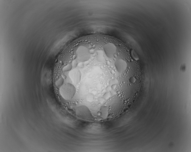 X0000116830123200912181443