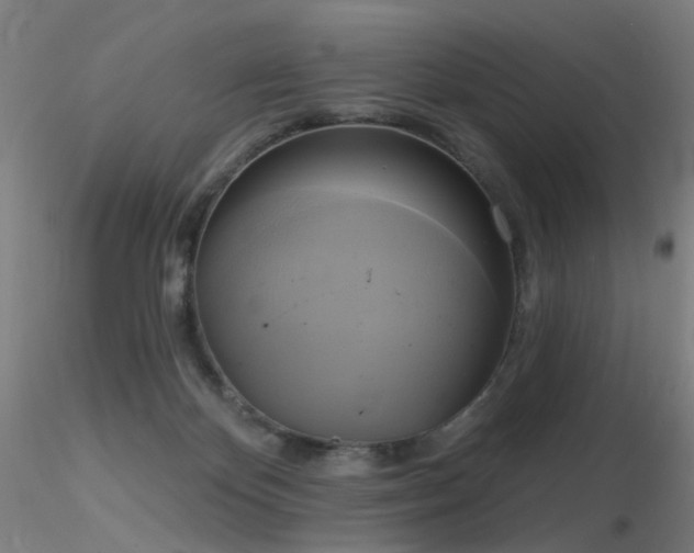 X0000116830124200912181443