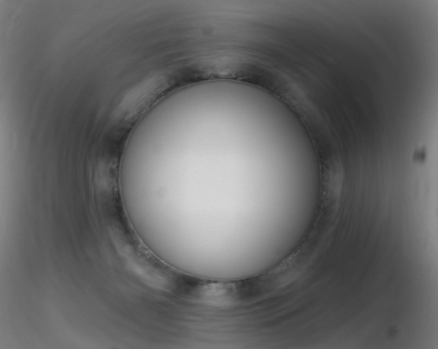 X0000116830126200912181443