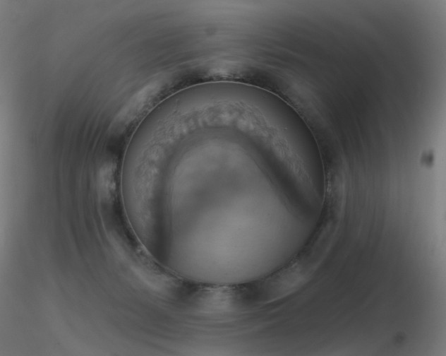 X0000116830127200912181443